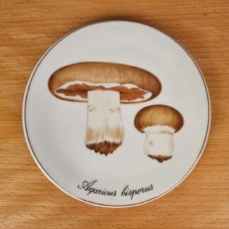 Svampe platte "Dyrket Champignon"