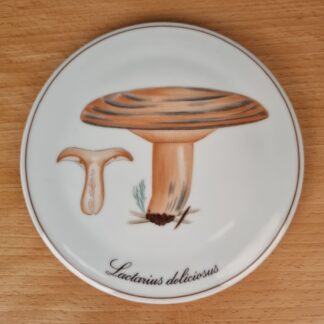 Svampe platte "Velsmagende Mælkehat"