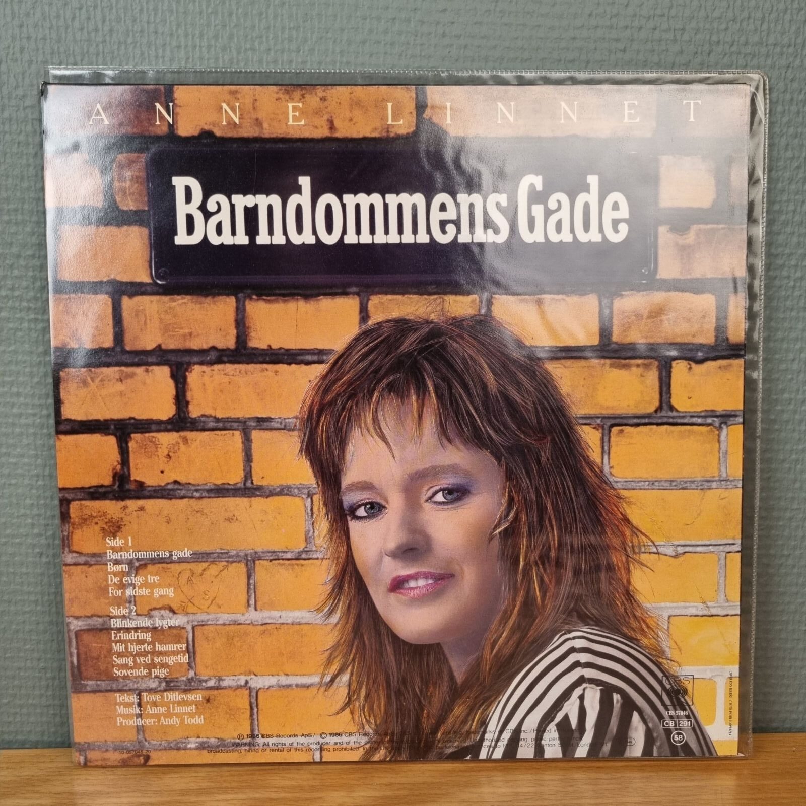 Anne Linnet – Barndommens Gade – Vinyl - Villa og Vejbod