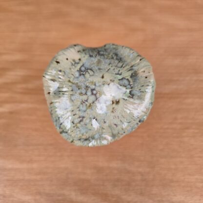 Keramik Skovsvamp 9,5cm - Image 4