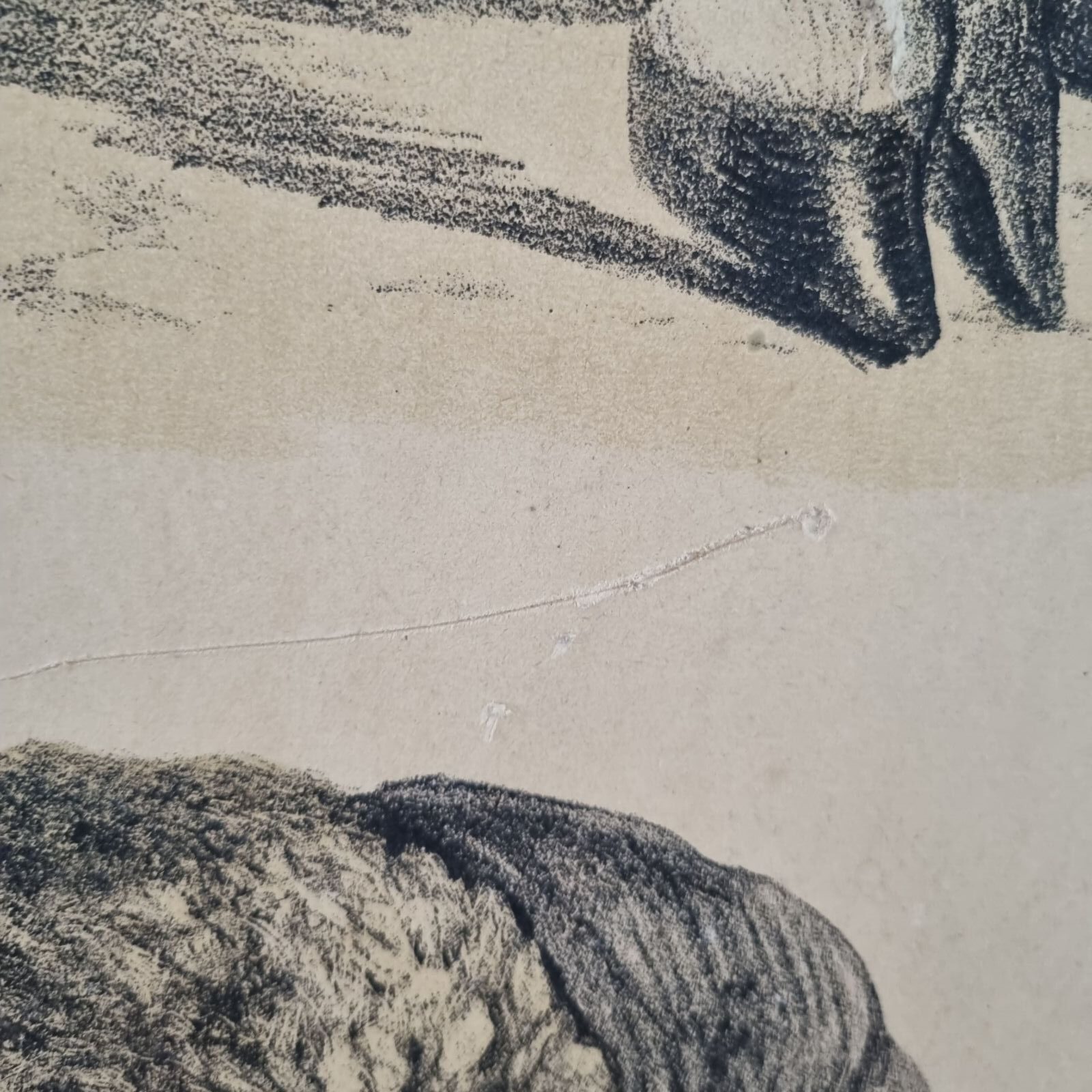 Stor gammel svensk skoleplanche med får - Billede 3