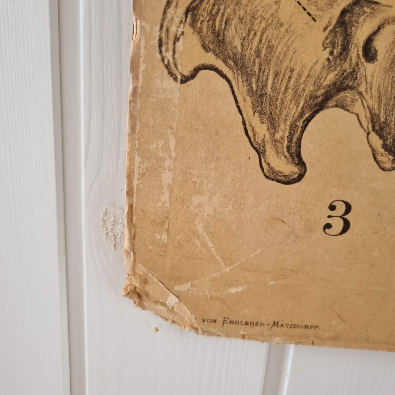 Stor gammel svensk skoleplanche med får - Billede 5