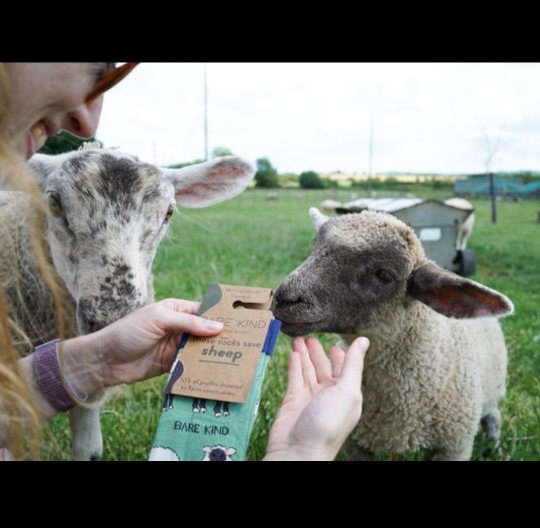 BARE KIND voksen sokker med dyr - Søpapegøje str. 37-40,5. - Billede 3