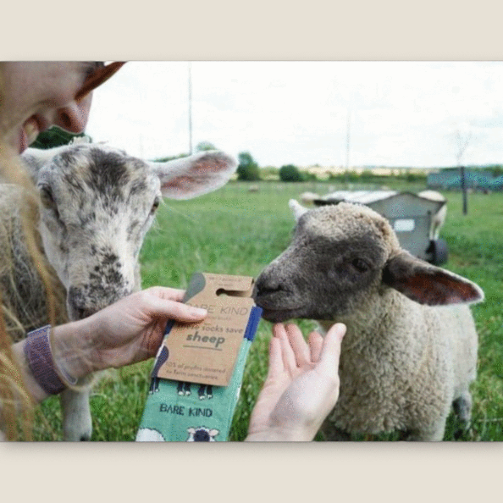 BARE KIND voksen sokker med dyr - Jule skildpadde str. 37-40,5 - Billede 3