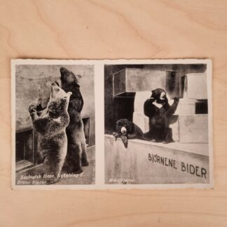 Postkort - Nykøbing Falster Zoo - ca. 1940