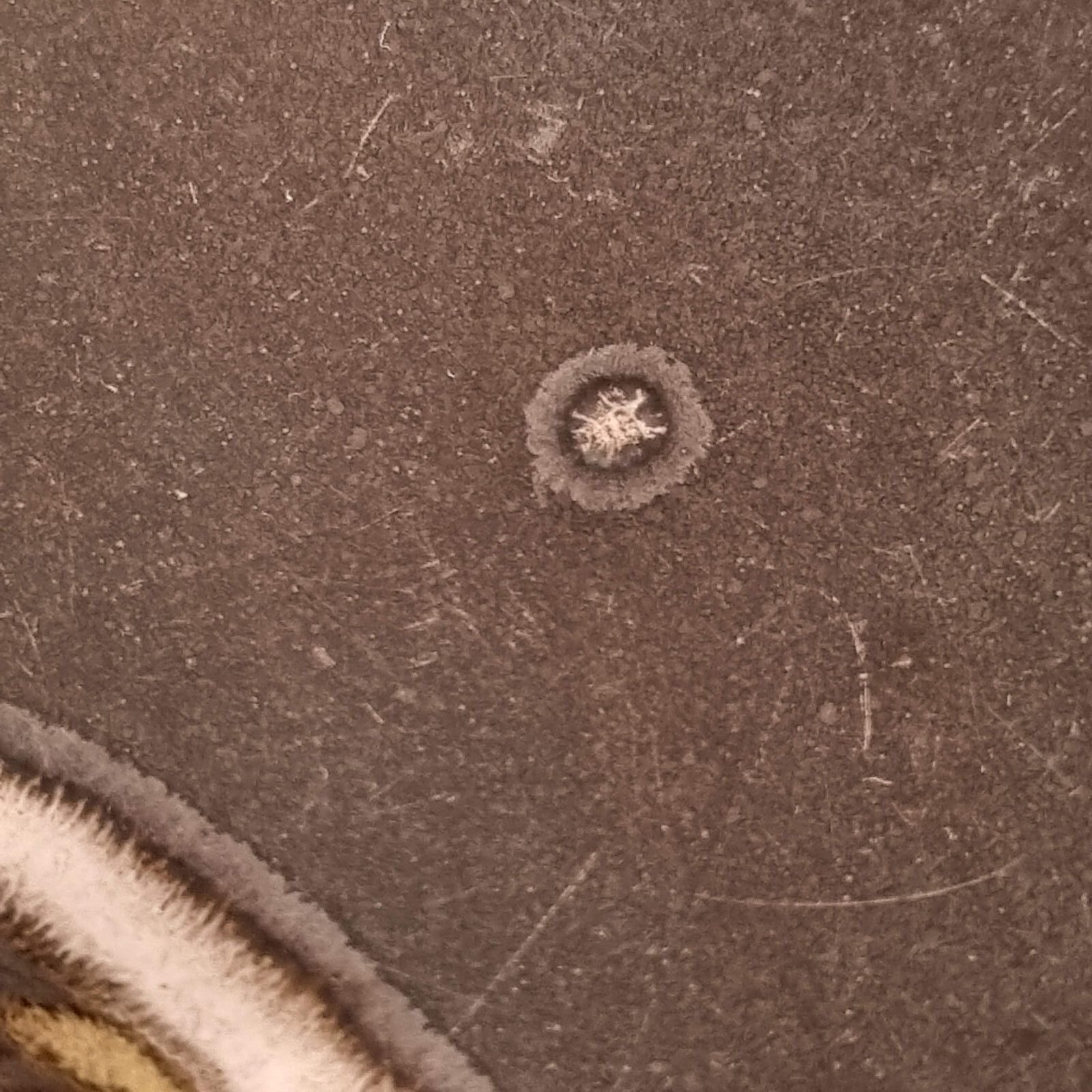 Søholm "Burgundia" fad - 31cm - Billede 2