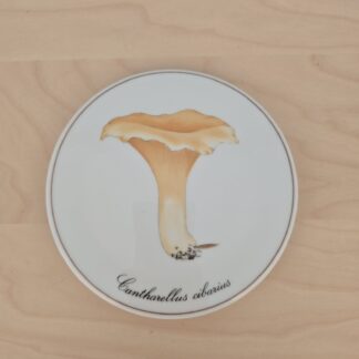 Bing & Grøndahl svampe platte - Kantarel